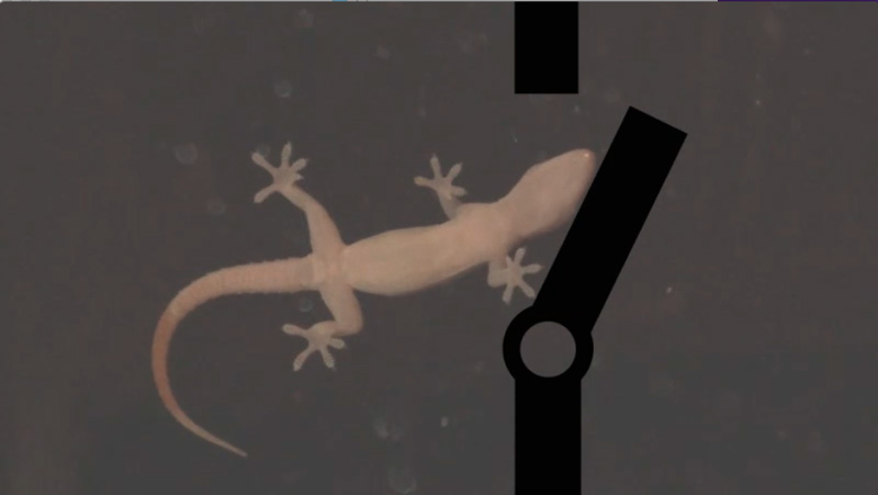 data opening screen video still